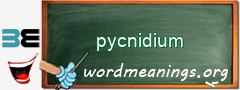 WordMeaning blackboard for pycnidium